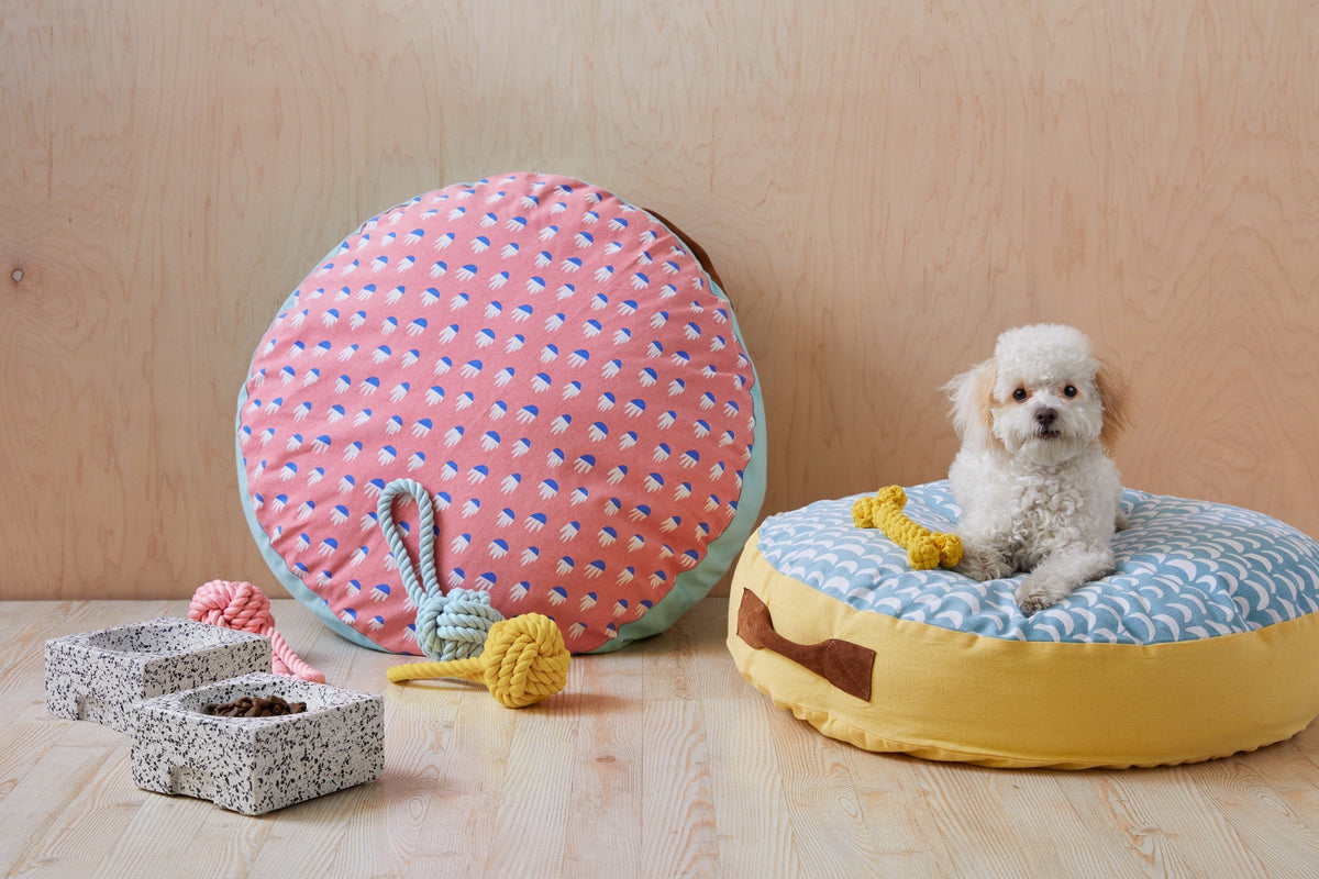 Modern Dog Accessories, Modern Pet Supplies MAGENTA Retail