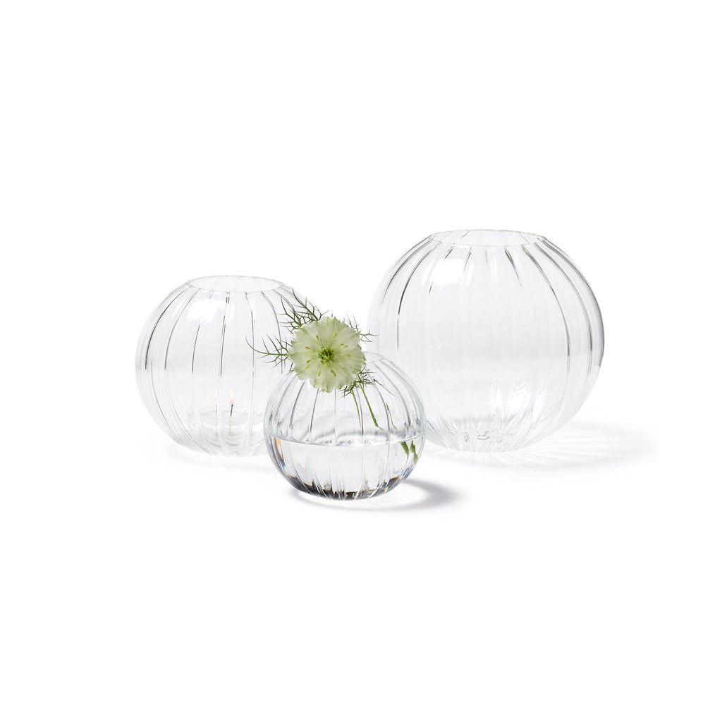 Round Glass Transparent Vase Planter Home Décor 